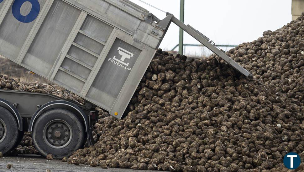 La planta de biomasa de ACOR en Olmedo generará hasta 90 empleos