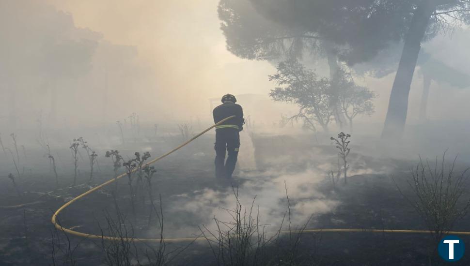 Sofocado un incendio forestal en San Miguel del Pino