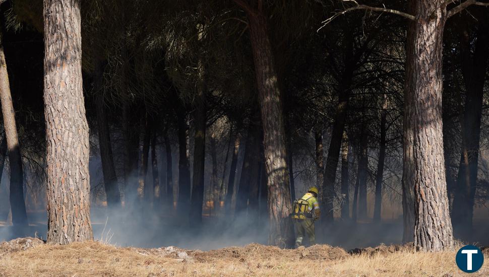 Controlado el incendio en el pinar de Aldeamayor de San Martín 