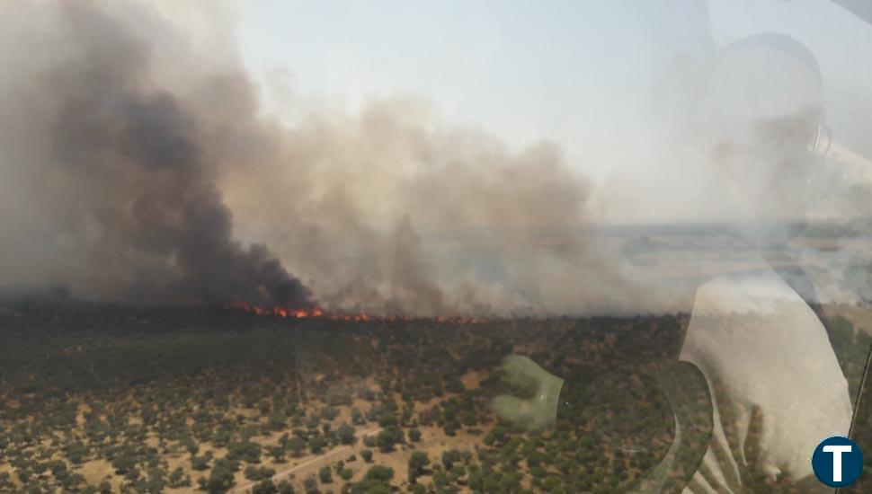 El incendio de Castronuño baja a nivel 0 después de estar más de cuatro horas declarado de alto riesgo