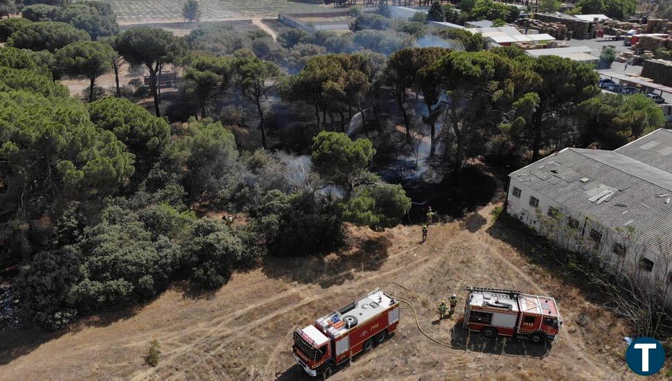 Sofocado un incendio producido en Pinar de Jalón   