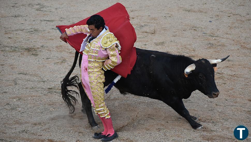 Los eventos taurinos cierran un nuevo día de las Fiestas de Santa Marina de Cigales