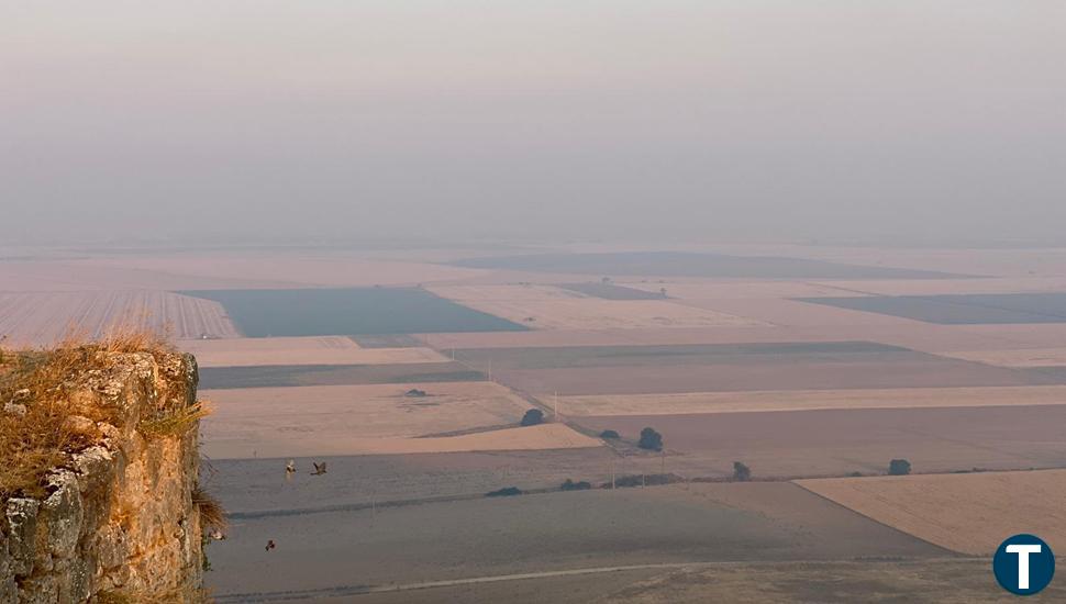 El humo de los incendios de Zamora, Ávila y León se deja ver por la provincia