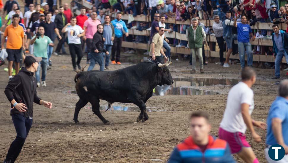 Tordesillas reforzará la "seguridad" en el Toro de la Vega: "No queremos que baje gente que no esté preparada"