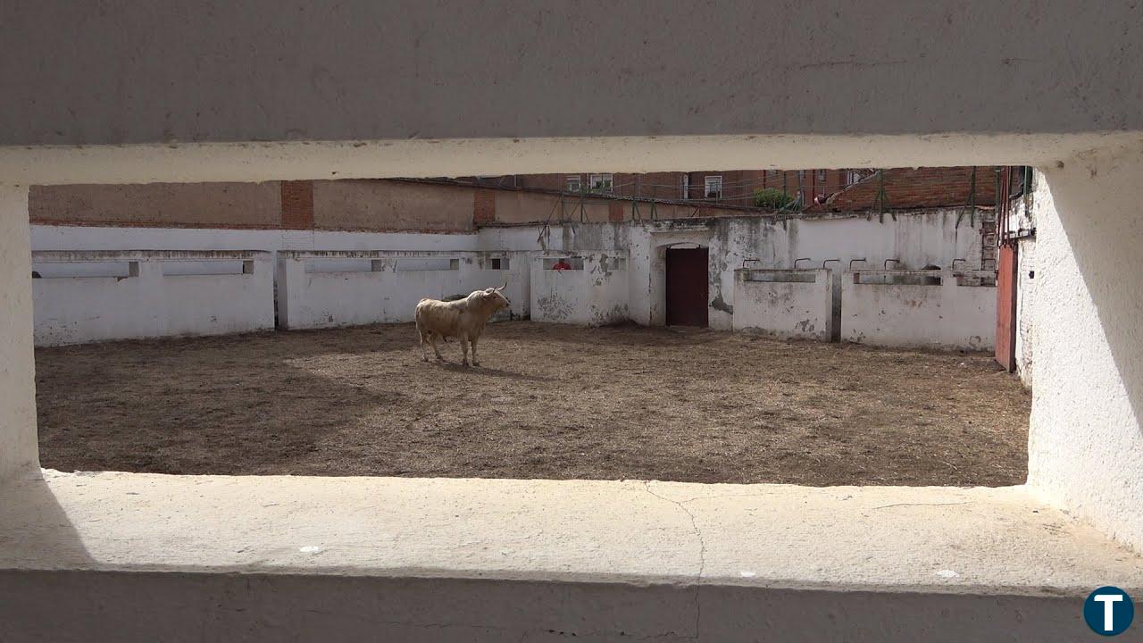 Un paseo audiovisual por los lugares más desconocidos de la Plaza de Toros de Valladolid