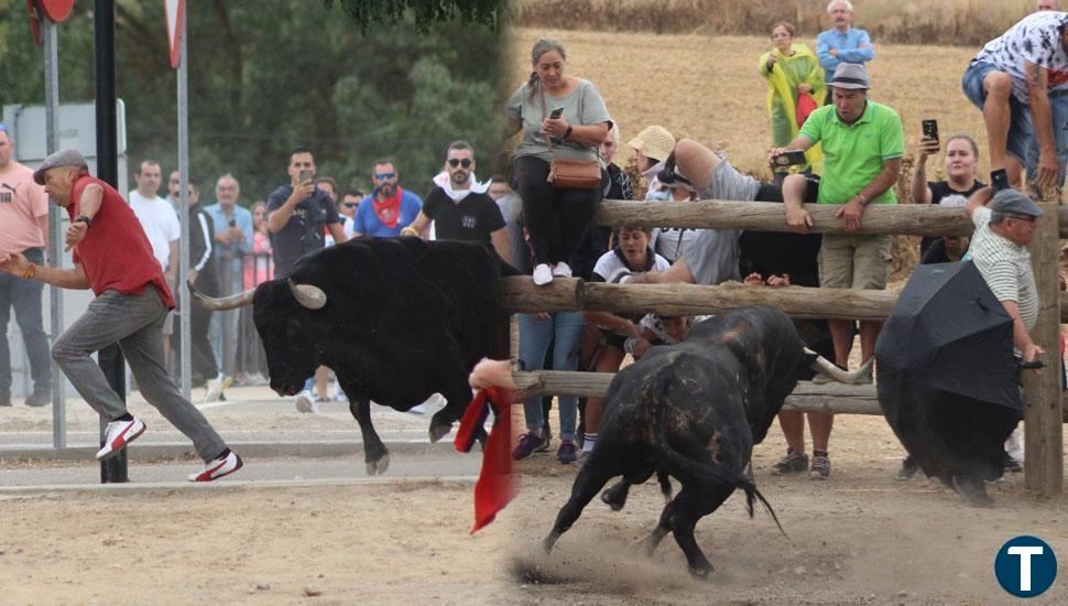 Los momentos más peligrosos del Toro de la Vega: dos hombres se salvan milagrosamente