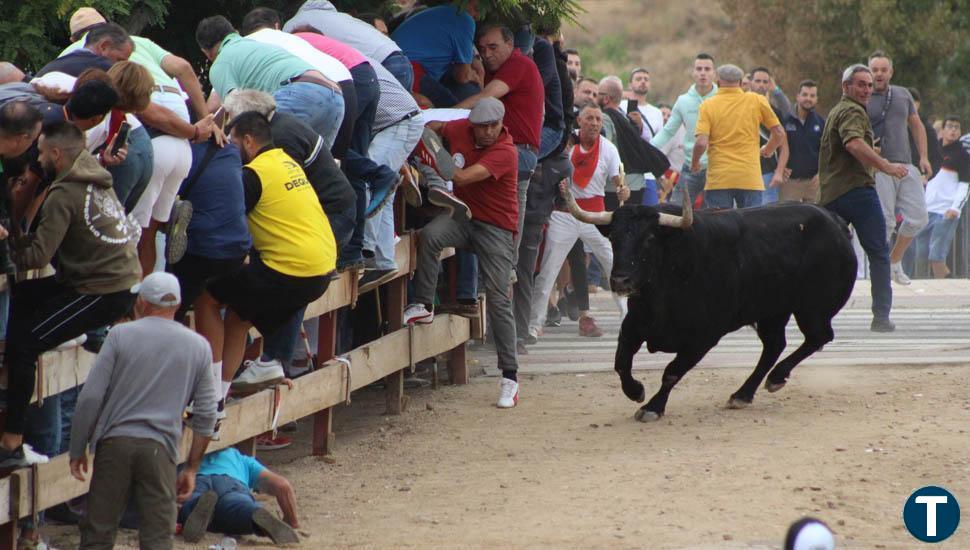  Tordesillas denunciará a Podemos y Pacma por sus "informaciones falsas" sobre el Toro de la Vega