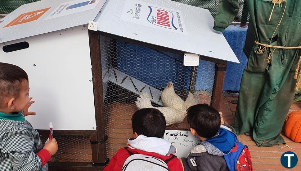 Medina del Campo recibe la placa del Programa 'Buen Vecino' por su gallinero inteligente