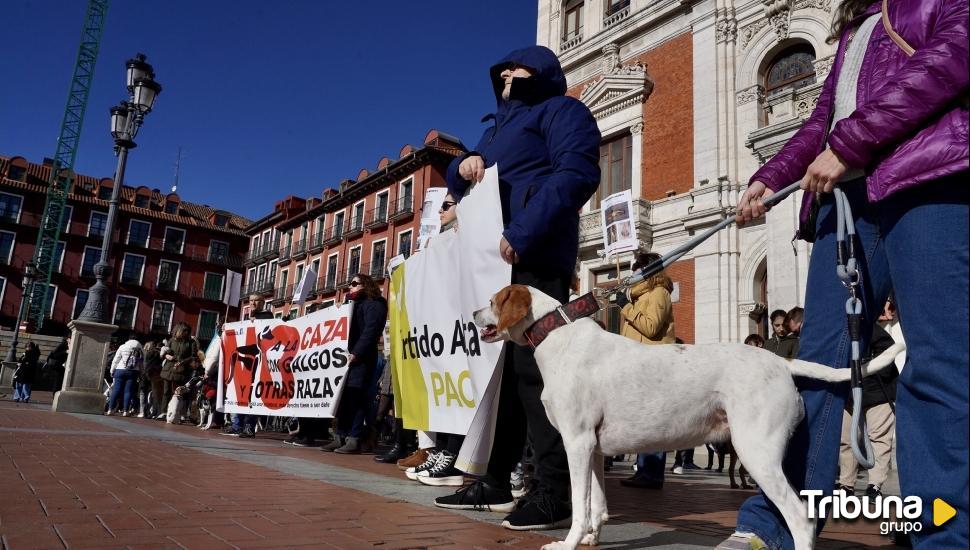 Más de un centenar de animalistas alzan la voz contra de la caza en Valladolid