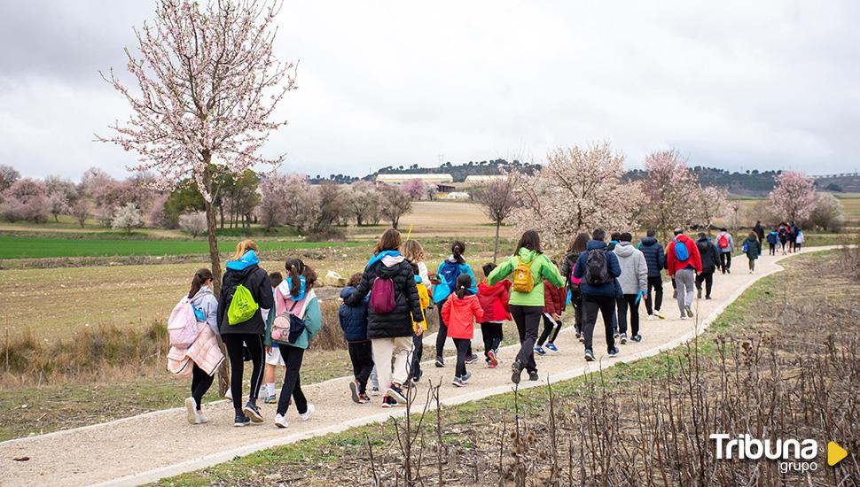 Más de 500 personas participan en la Marcha Solidaria del Colegio Agustinas de Valladolid