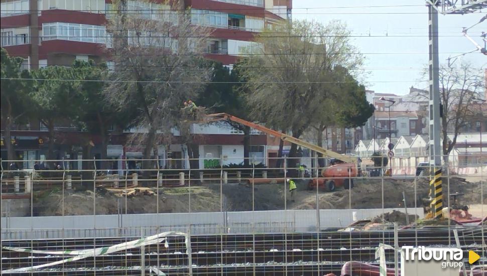 Los vecinos de Delicias explotan contra la tala de los árboles del túnel de Labradores