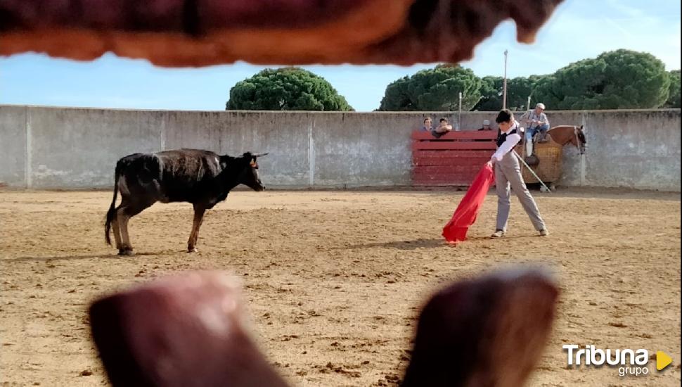 Un congreso analiza las ganaderías de lidia de la provincia