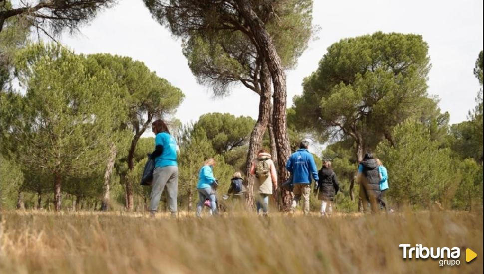 CaixaBank organiza una jornada medioambiental para limpiar de residuos el Pinar de Antequera 