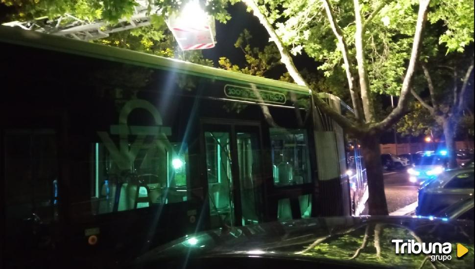 La caída de la rama de un árbol deja a un autobús de Auvasa atascado cuando circulaba por Parquesol