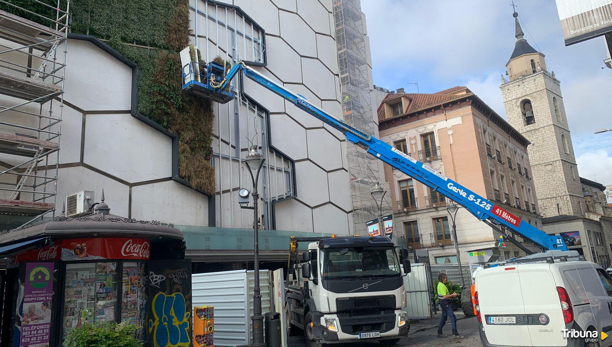 Comienza la retirada del jardín vertical del viejo Corte Inglés