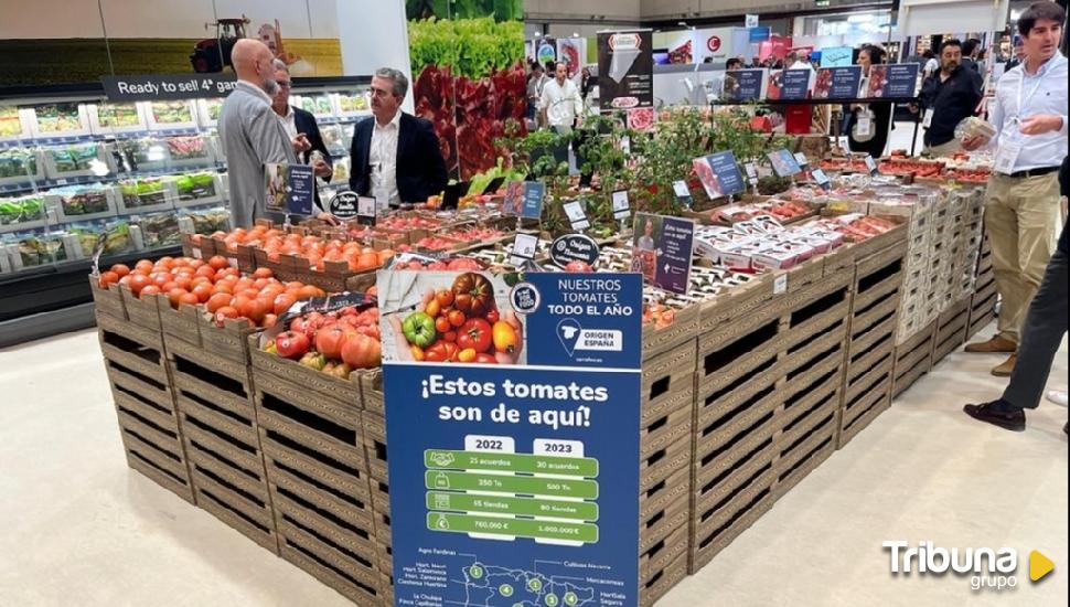 Carrefour, único distribuidor que ofrece tomate origen España durante todo el año