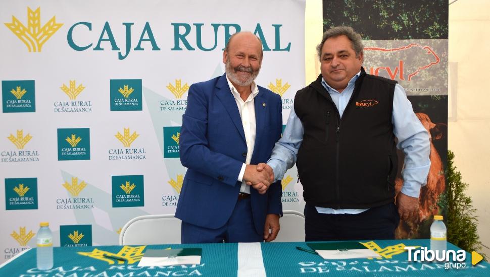 Caja Rural renueva su colaboración  con la Asociación Limusín