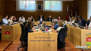 IPAE presenta una moción de censura en la que defiende a los vecinos de Arroyovereda