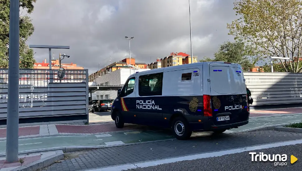 Detienen a un hombre propietario de una plantación de marihuana en un pueblo de Valladolid