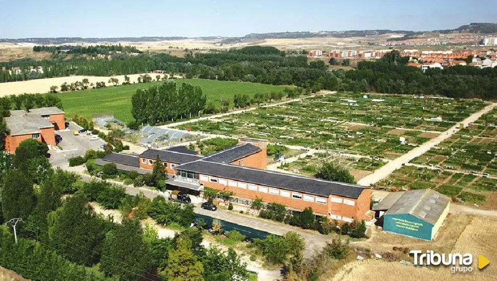 INEA presenta el proyecto 'Semillas de cambio', que propone crear una red de jóvenes agricultores