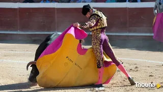 Dos bravos novillos de El Raso de Portillo, desorejados por Pedro Andrés, salvan la novillada de Mojados