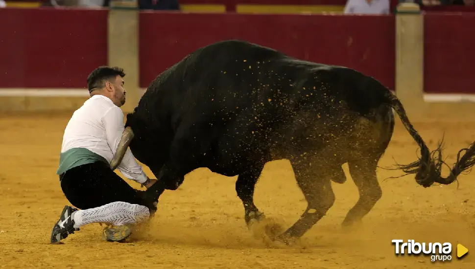 El torero Imanol Sánchez tira de coraje para separar el toro del vallisoletano 'Use' en plena cogida