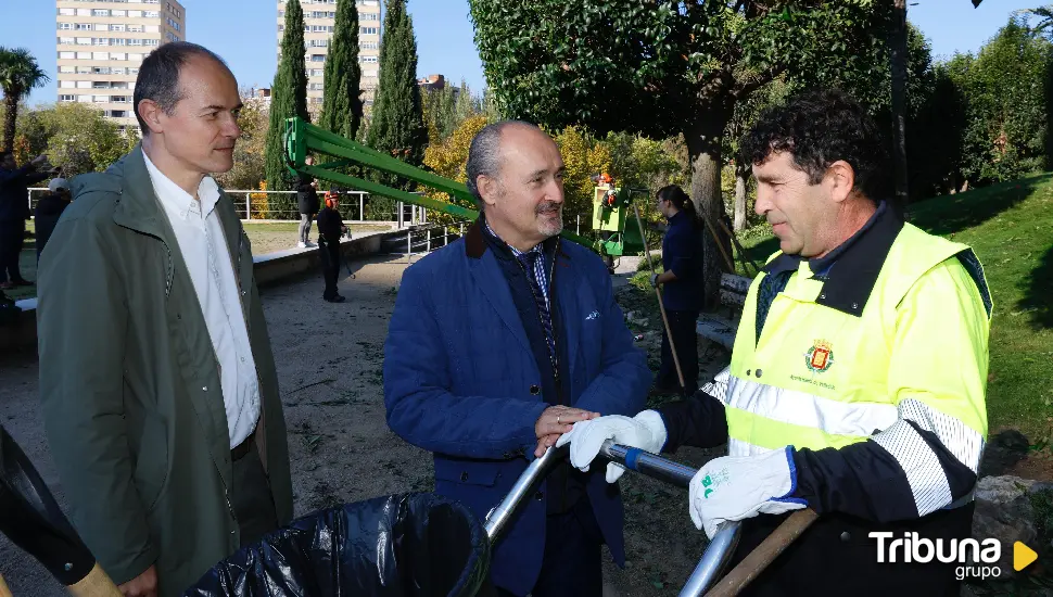 Un nuevo protocolo coordinará la recogida de la hoja y la poda con los servicios de Limpieza