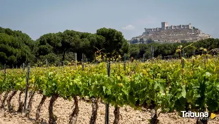 Aeroméxico y doce de las mejores agencias de viajes hacen escala en la Milla de Oro del Vino de Valladolid