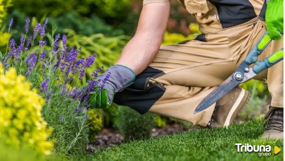 Valladolid contará con una Escuela Municipal de Jardinería, Medio Ambiente y Renaturalización Urbana