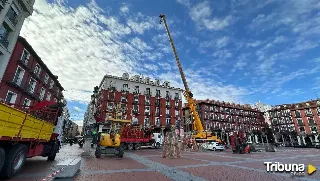 Comienza el montaje del árbol navideño de la Plaza Mayor 