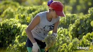 La Junta convoca ayudas de 15.000 euros para los emprendedores de Tierra de Campos de Valladolid