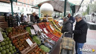 El Mercado de la Marquesina cubrirá los 14 puestos y podría abrir en enero