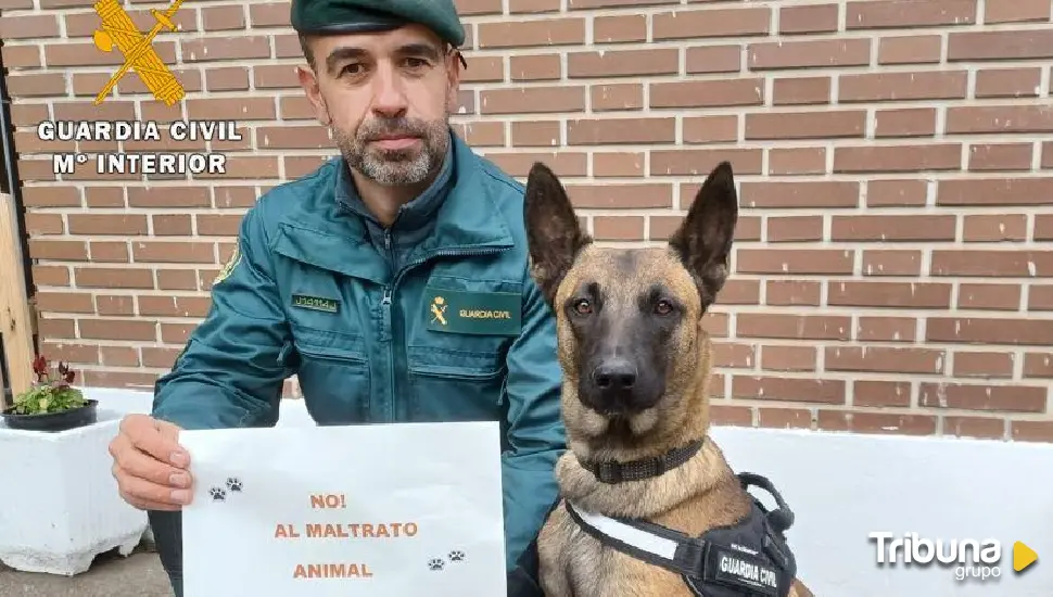 La Guardia Civil investiga un caso de maltrato animal en Laguna de Duero