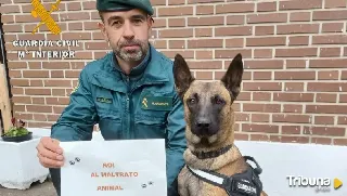 La Guardia Civil investiga un caso de maltrato animal en Laguna de Duero