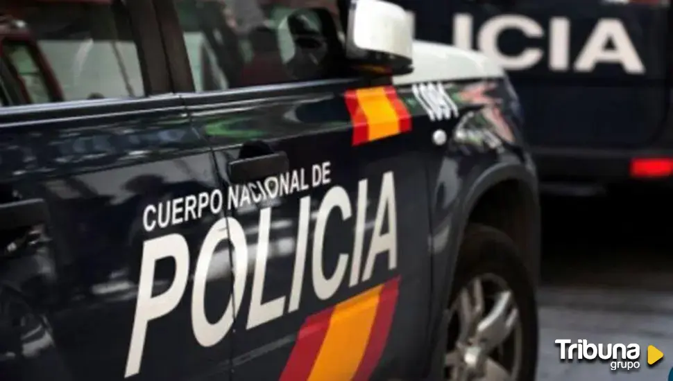 Dos detenidos por robar un bolso con 700 euros en metálico