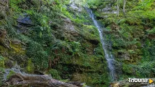 Las cascadas de Altuzarra en la Sierra de la Demanda