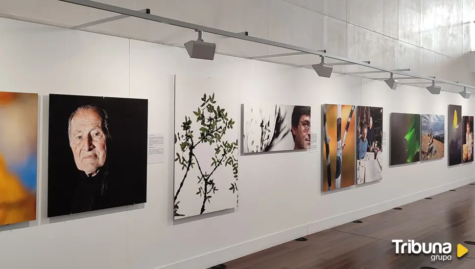 'Flora Humilis', la colección fotográfica de Justino Díez en el Miguel Delibes