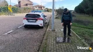 Así operaba el ladrón de arquetas en Boecillo: 36 tapas metálicas valoradas en 1.400 euros 