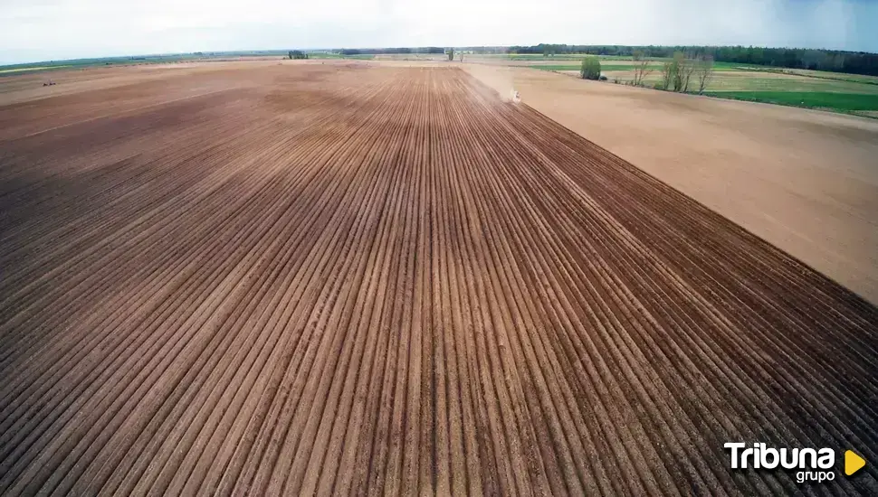 Las herramientas de apoyo que permiten "monitorizar" las parcelas a los agricultores y ganaderos de Castilla y León