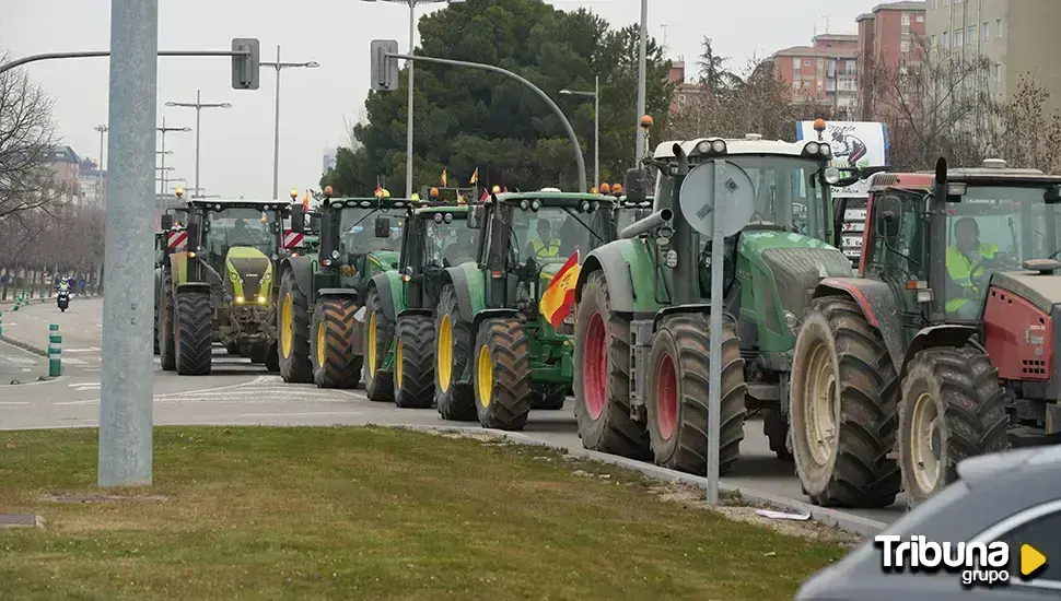 Los agricultores y ganaderos protestarán en los Goya pero no con una 'tractorada'