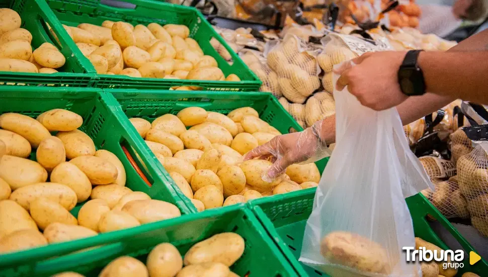 Mercadona prevé comprar 35.000 toneladas de patatas de Castilla y León en 2024