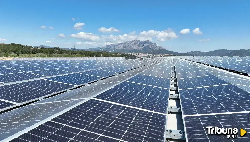 Mercadona inaugura su mayor planta fotovoltaica y alcanza los 100MW de energía renovable en toda la cadena