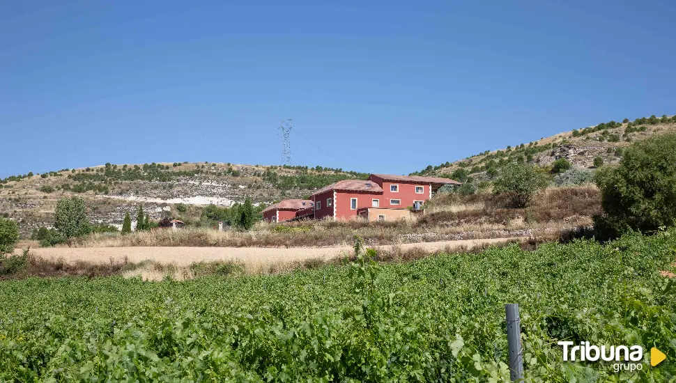 Valdecuevas prosigue su avance: adquiere una bodega en Ribera del Duero