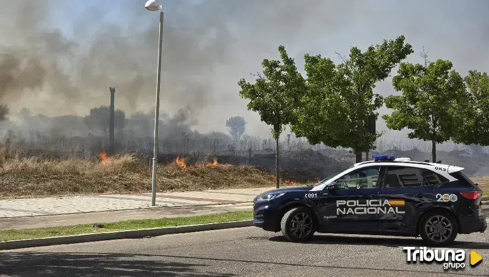 Los bomberos sofocan un incendio en el Pinar del Jalón