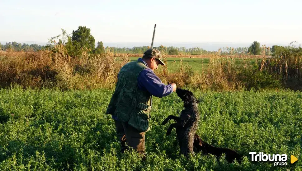 Los cazadores vallisoletanos prevén tres o cuatro veces más ejemplares en la Media Veda de 2024 