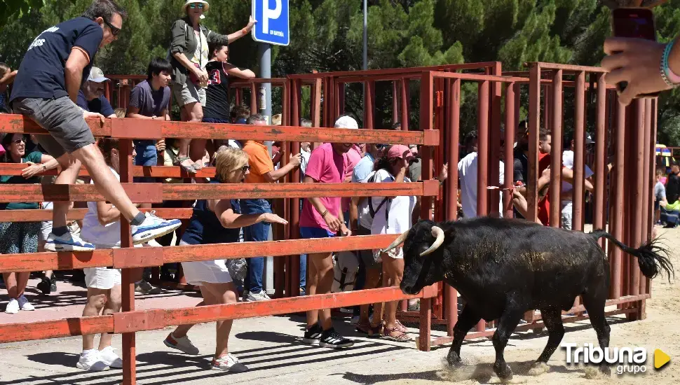 La provincia honra a Nuestra Señora de la Asunción y San Roque por todo lo alto