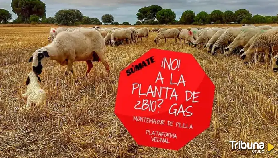 La plataforma contra la macro planta de biogás en Montemayor reúne 3.800 firmas