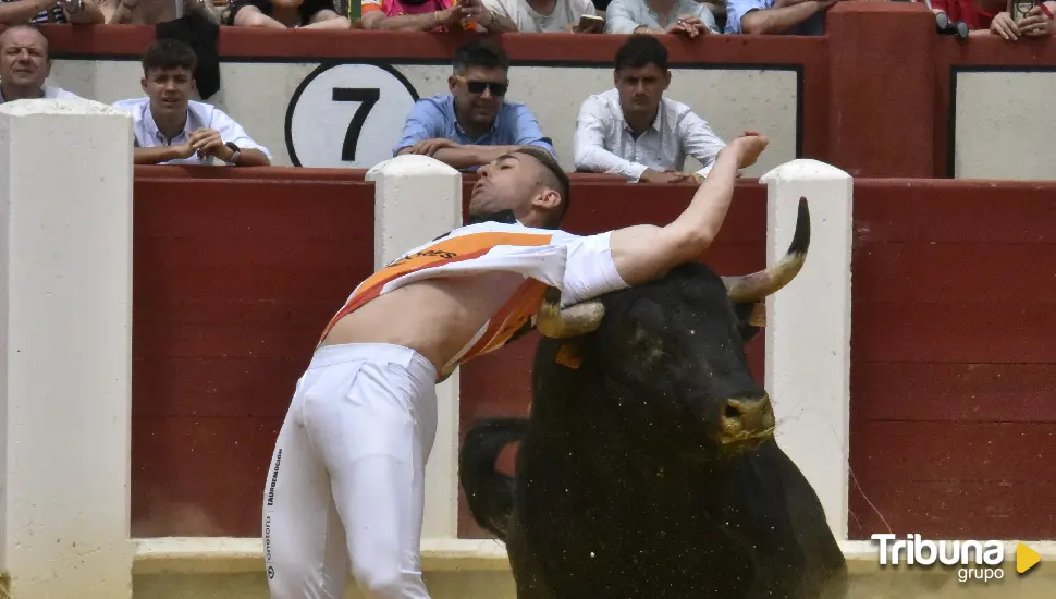 La gran final del Campeonato Mundial de Cortes llega este domingo a Valladolid