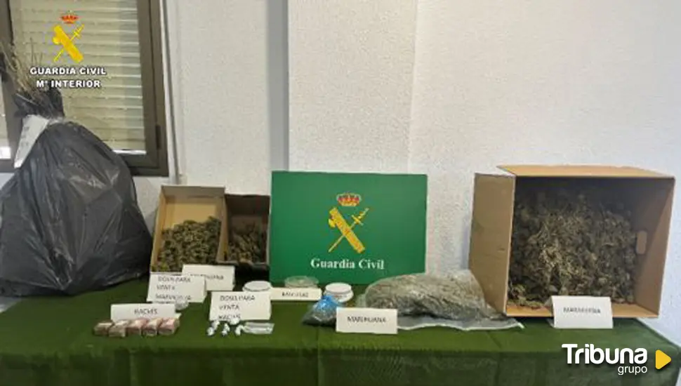 Desarticulan un punto de venta de droga en Peñafiel tras detener a los responsables