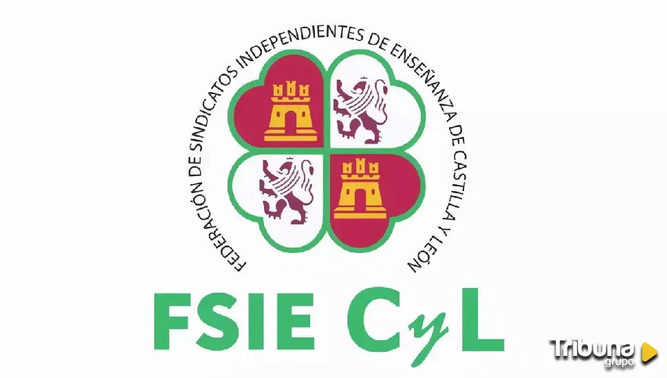 FSIE aceptará nuevos retos y objetivos para mejorar las condiciones laborales en el ámbito de la enseñanza